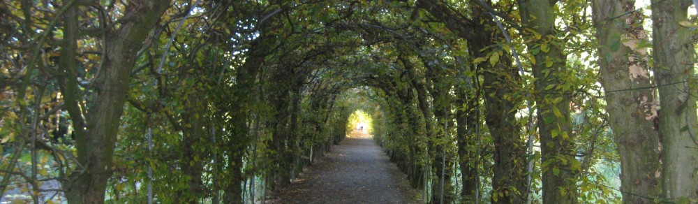 Syndicat d'Initiative de La Reid