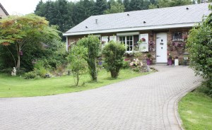 CLERDENT a Menobu 549