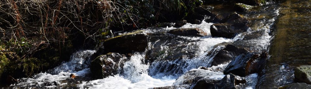 Syndicat d'Initiative de La Reid